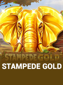 Stampede Gold Terbaru untuk Pemain: Review dan Panduan